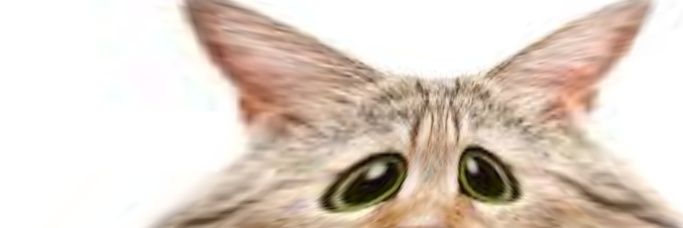 Evil Protomás 😈 banner