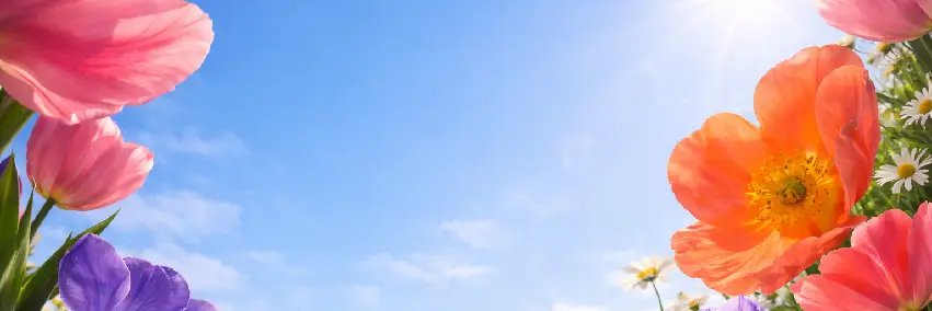 Rockyn_Robyn_'s profile banner image
