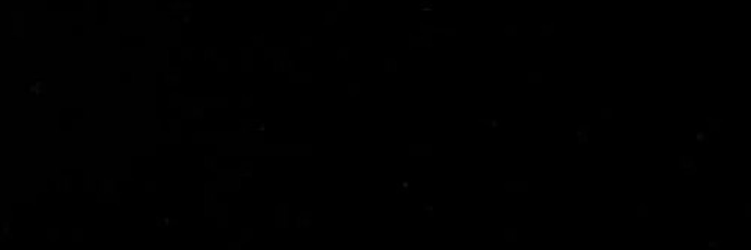 neyo banner