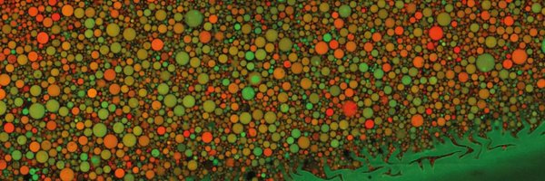 SchwilleLab Profile Banner