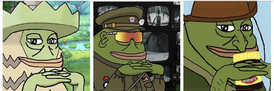 $GROYPER MAXI banner