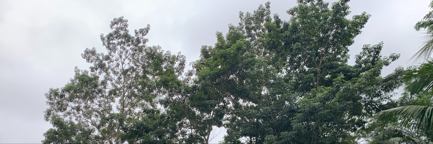 RastaDev_'s profile banner image