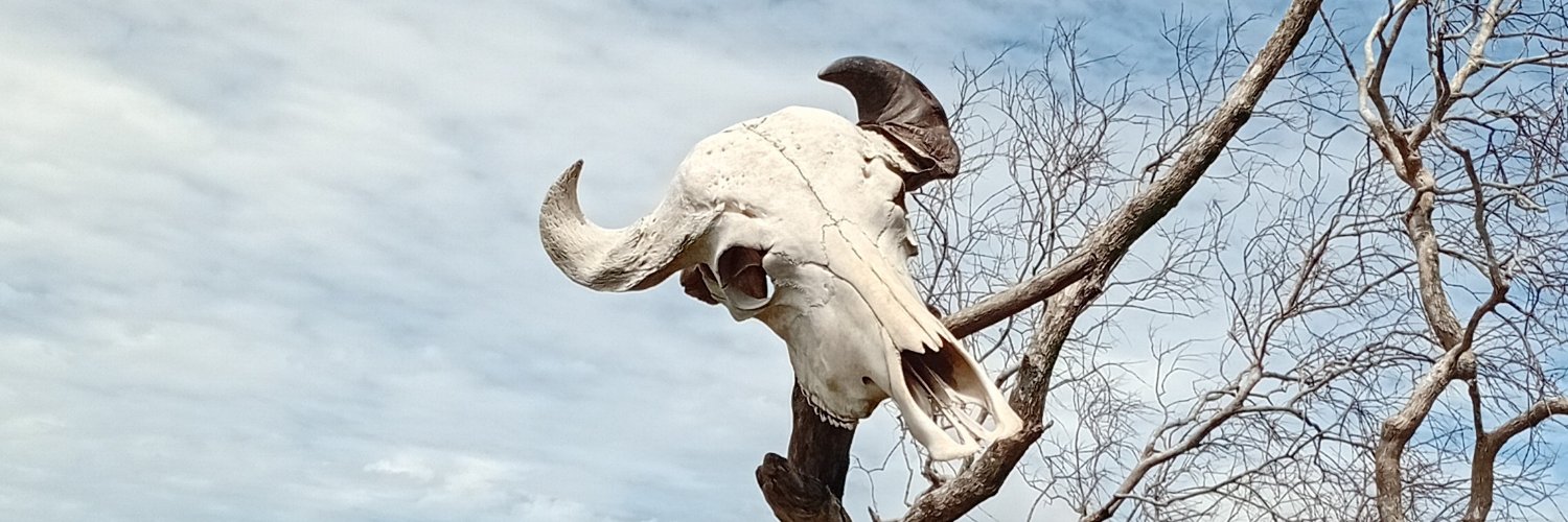 salobroso's profile banner image