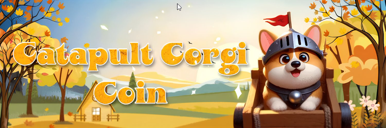 Catapult Corgi Coin banner