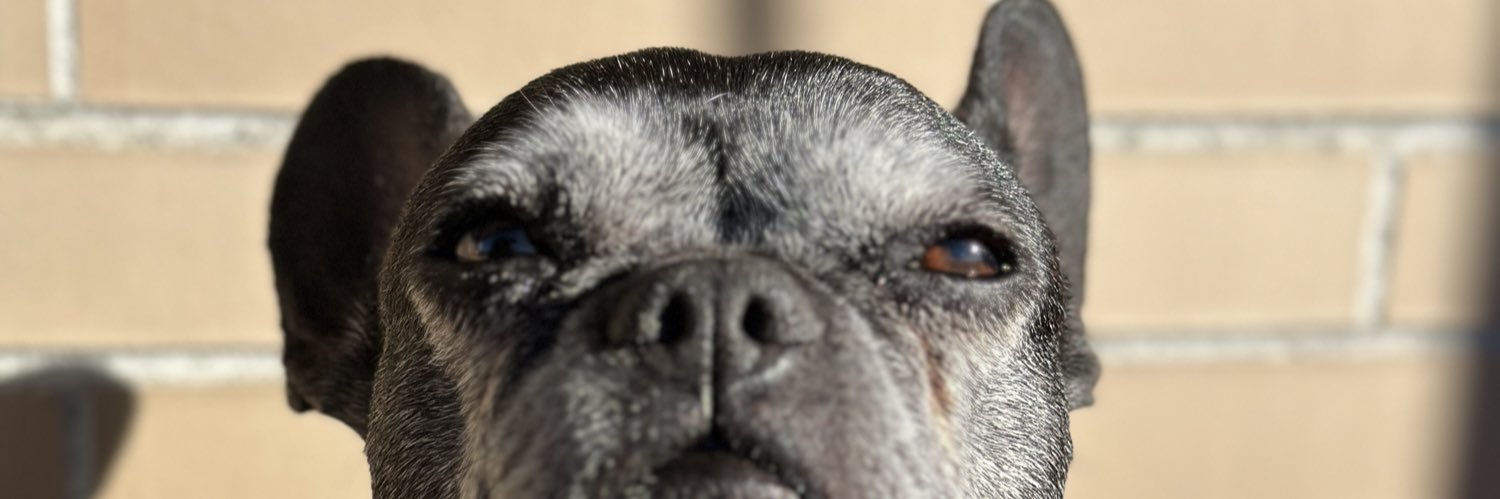 aguseskyy's profile banner image