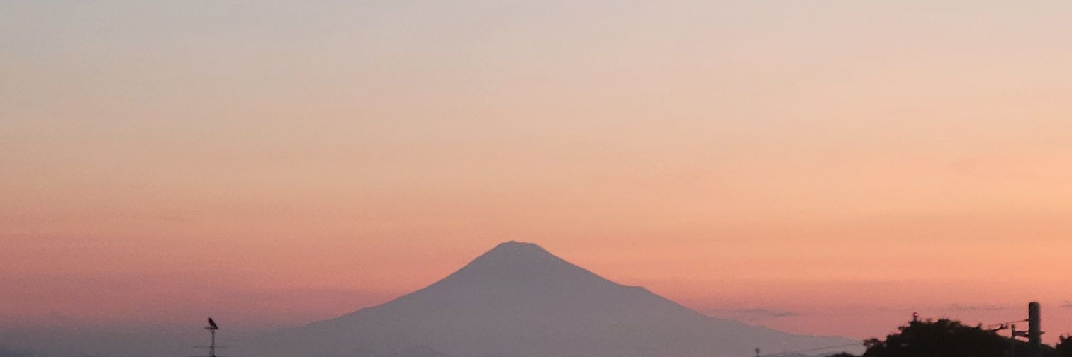 とし茶( ・∇・) banner