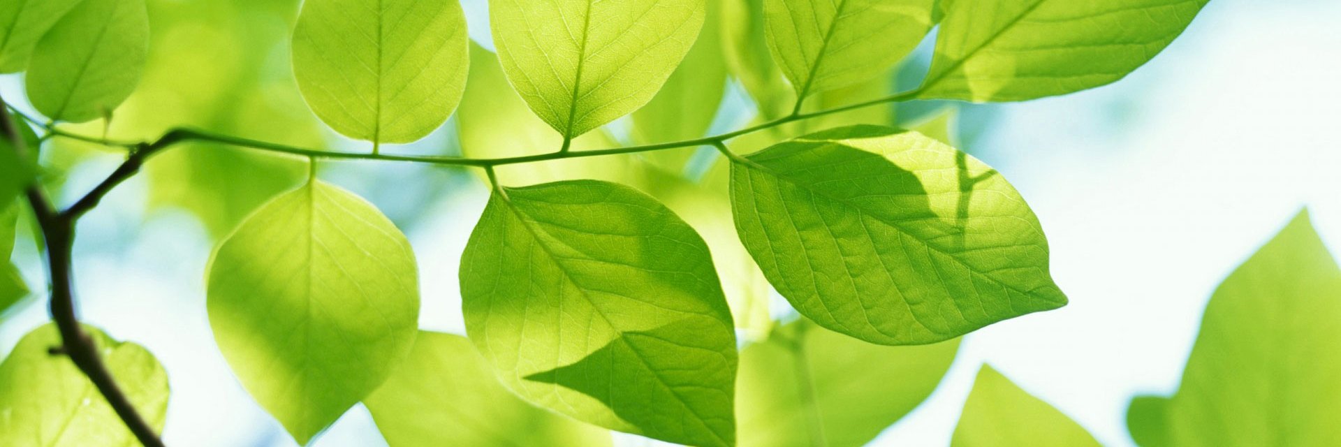 rethinkgreen's profile banner image
