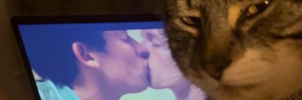 batshit cumbrained | СОMMS - OPEN banner