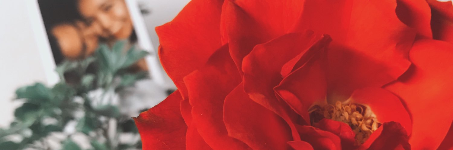 ncyfernandez's profile banner image