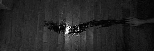 sof🐾 banner