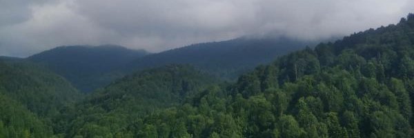 dieforulusoyy's profile banner image