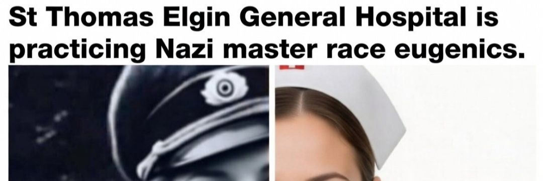 ElginCountyisFullofNazis banner