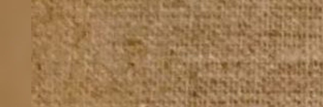 𓂆 𝖓𝖔𝖚𝖗 | نوُر banner