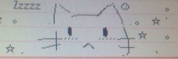 skatiaberry Profile Banner