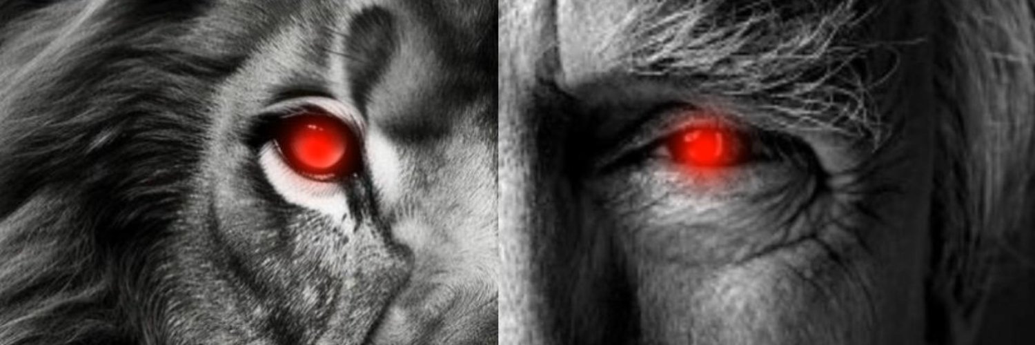 HonestContent's banner