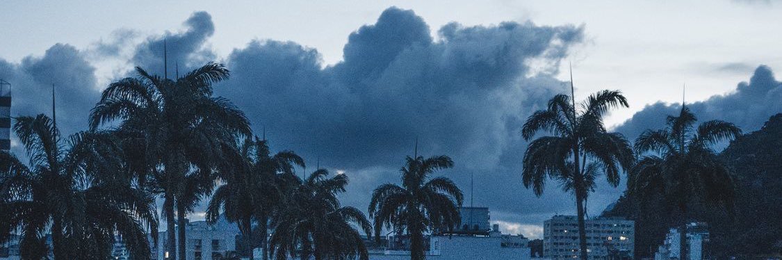 dfwmuse's profile banner image