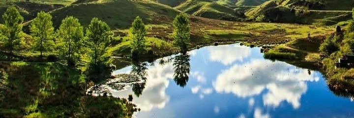 World Nature🌱🐦🌄🏔️ banner