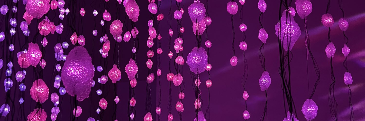 saspr's profile banner image