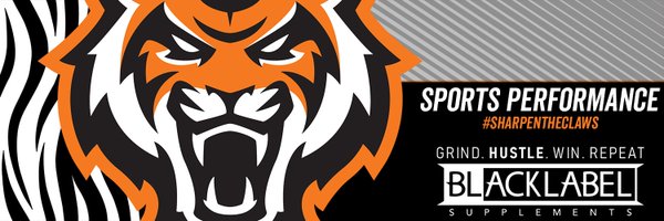ironambushISU Profile Banner