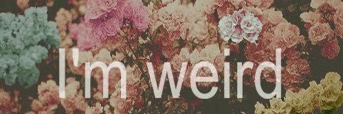 Andrewdingus VanWynGarden banner