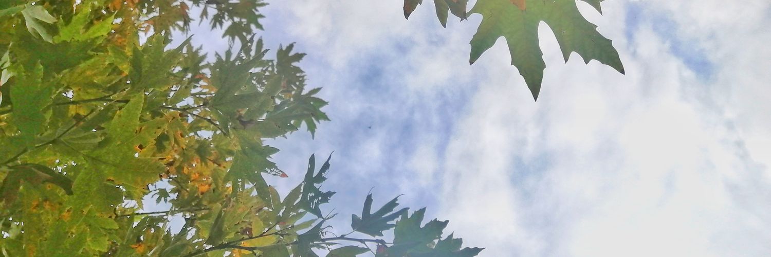 _soudah's profile banner image