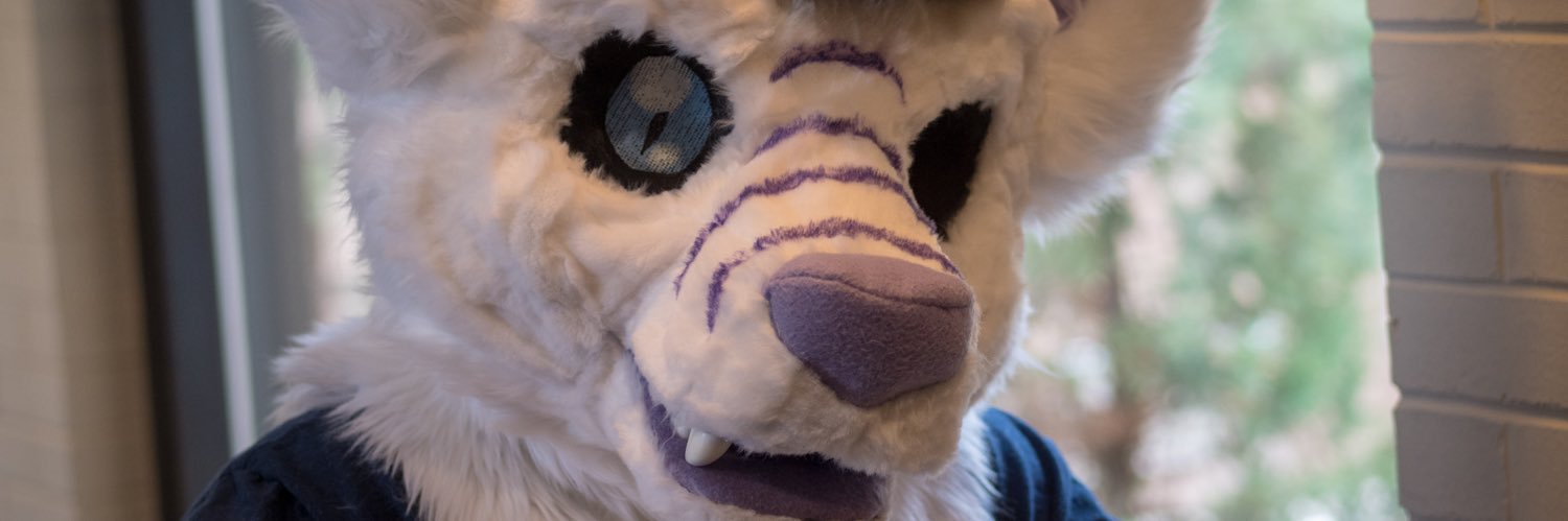 kitaramoonfox's profile banner image
