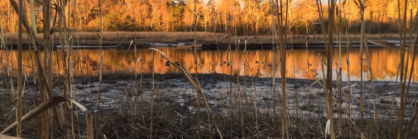 TKotanskyJr66's profile banner image