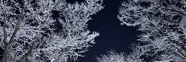 ddiary_d Profile Banner