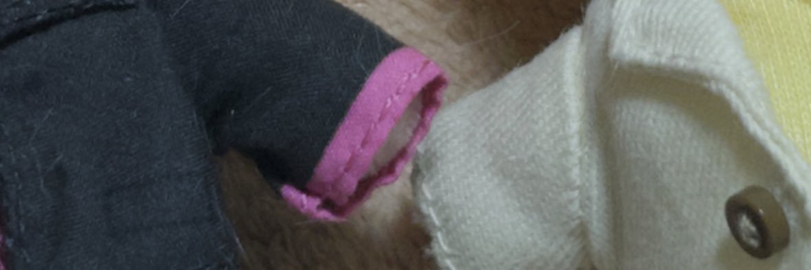 うぱ banner