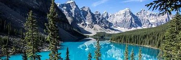 YYCKenneth Profile Banner