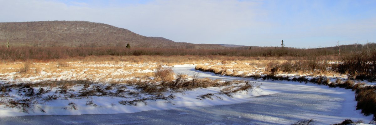 random_michelle's profile banner image