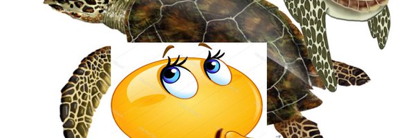 FakeTurtle9 Profile Banner