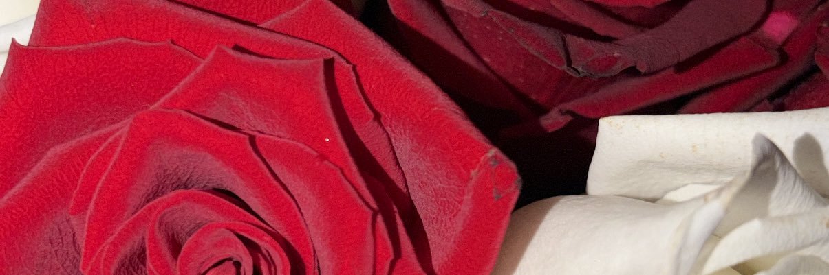 TheyLOVELele_'s profile banner image