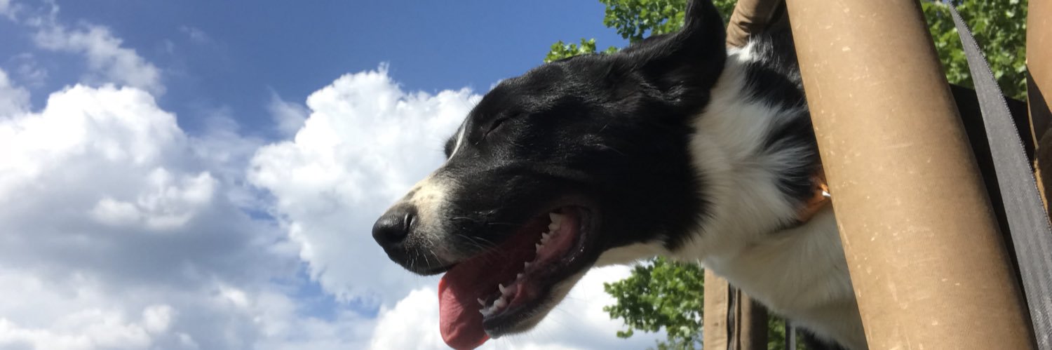 MadiStiner's profile banner image
