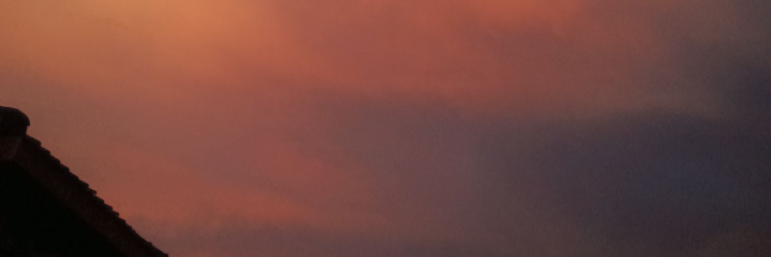 im fish blubupblubup banner