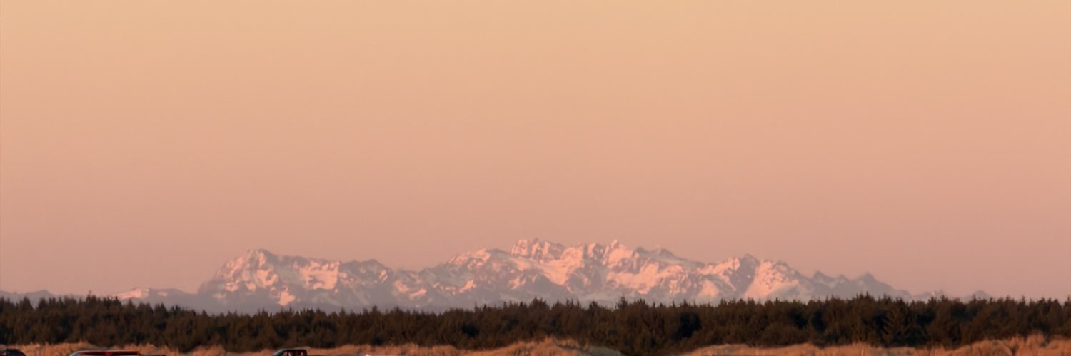 Helen Gosselin - Very Rarely Here banner