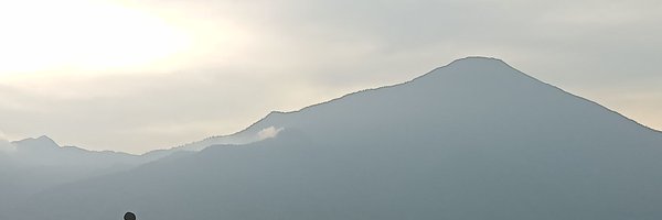 ElhassanTa1479 Profile Banner