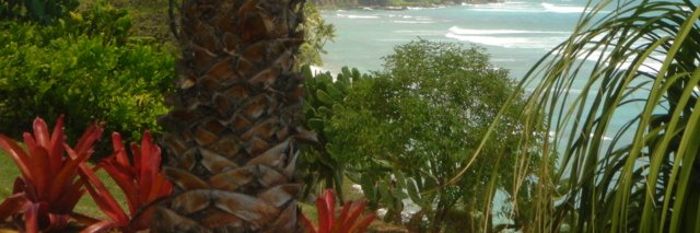 Joanna Charchuła banner