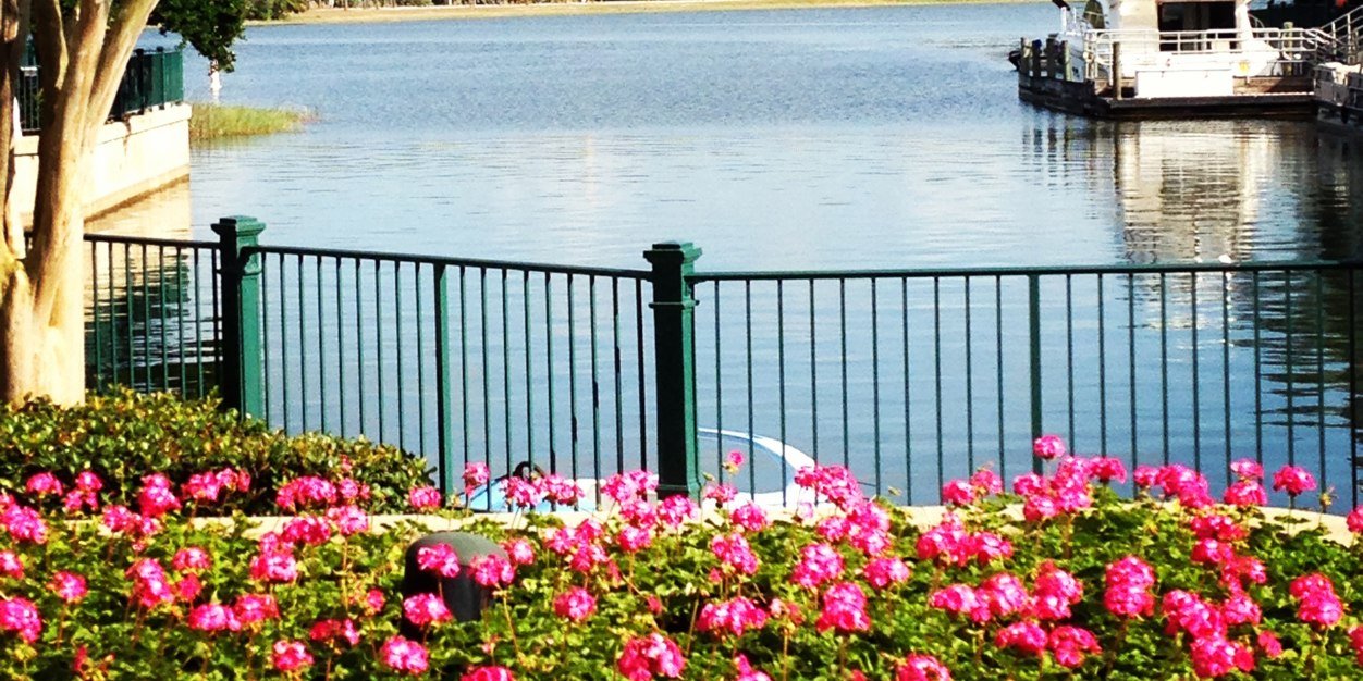 KellyBurnett's profile banner image