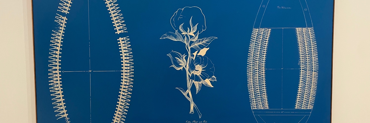 Aaron J. Adams Jr. banner