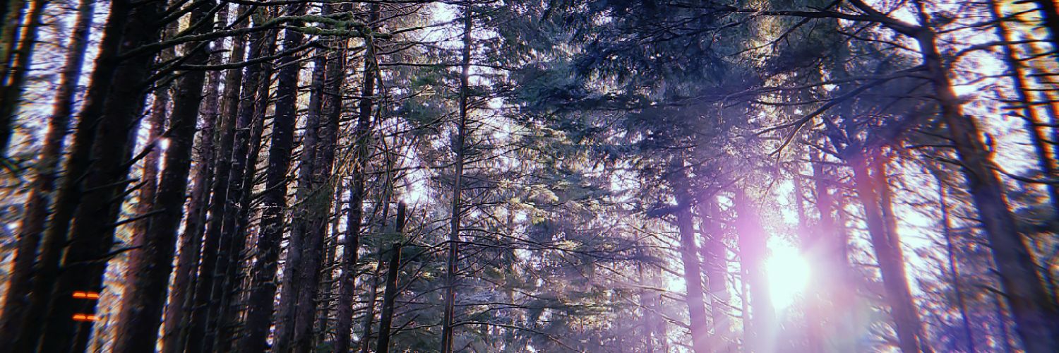 _themanicpixie_'s profile banner image