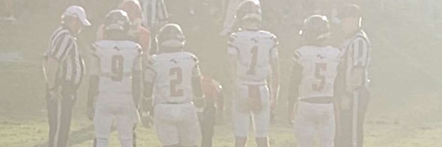 Austin Stanina banner