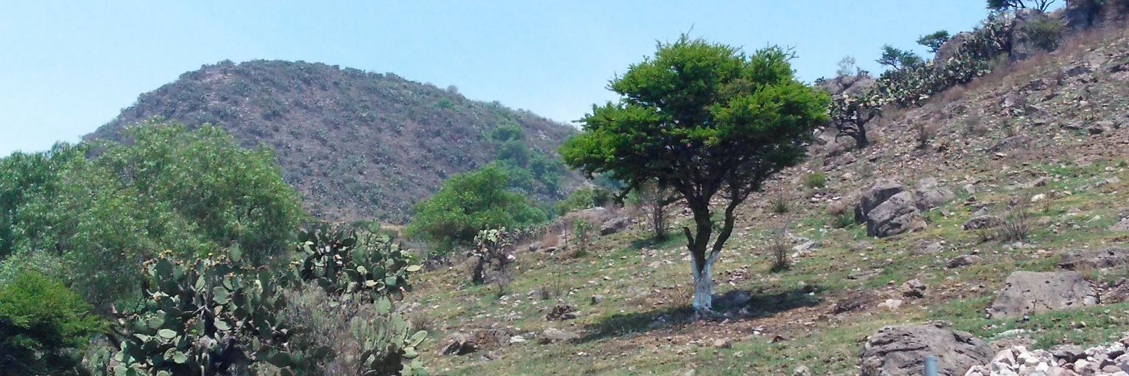 webwarriorwest's profile banner image