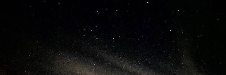 lily⋆ banner