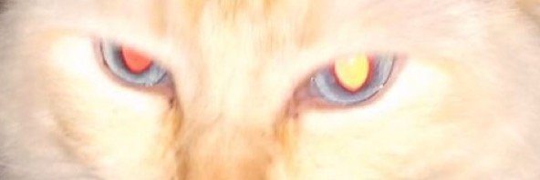 ssstormyyy's profile banner image