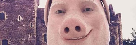 John Pork banner
