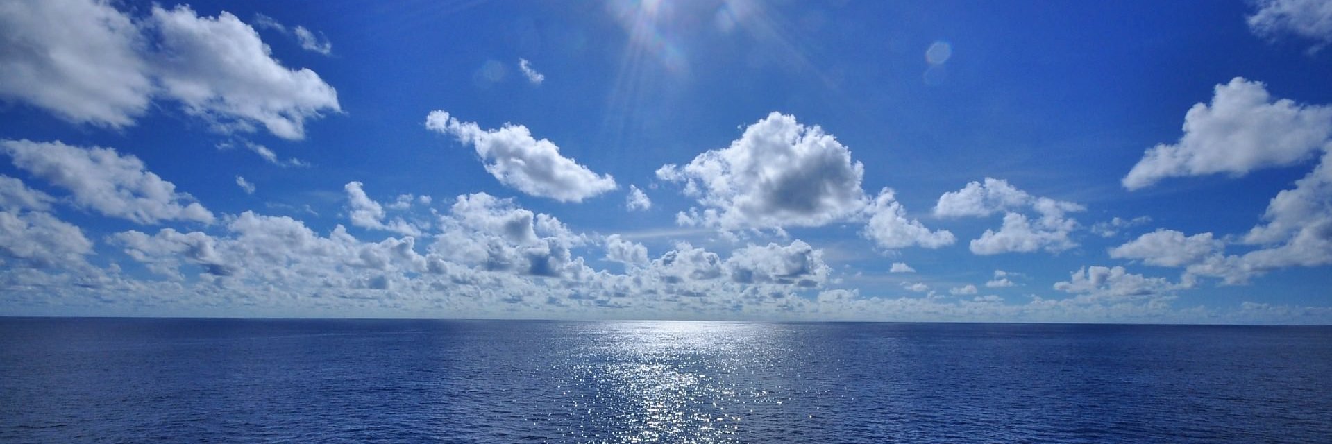 ネコスケ/美容x薬剤師 banner