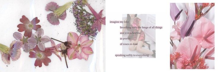 ✿⃘໋ׅ:·. banner