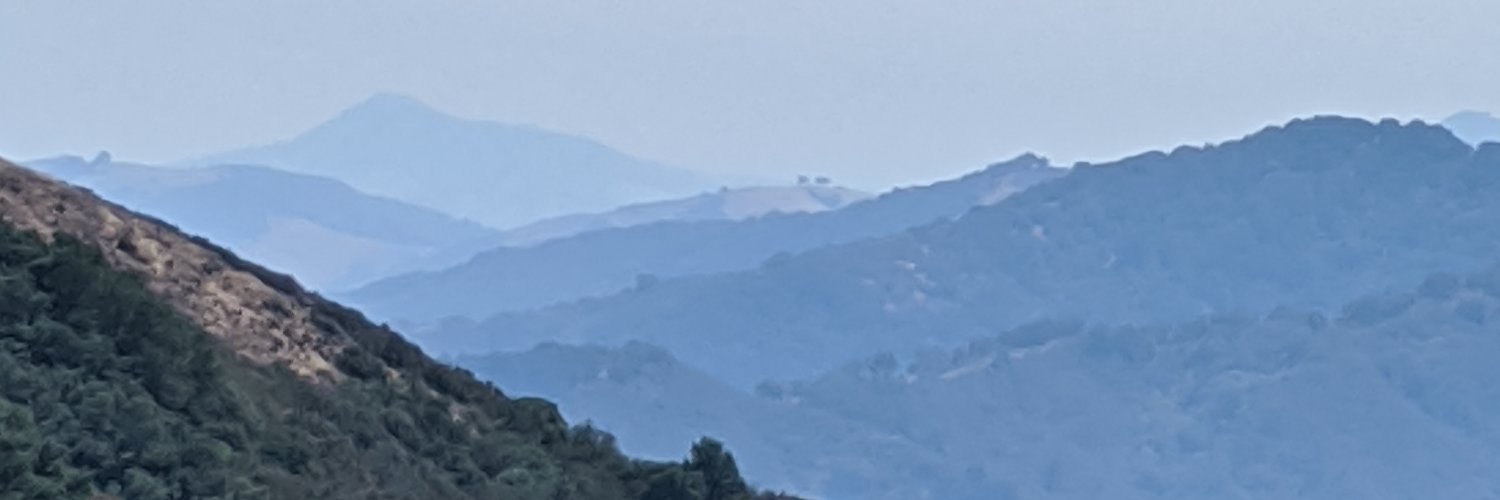 _LauraHunter's profile banner image