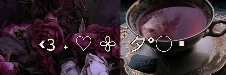 _gyulov's profile banner image